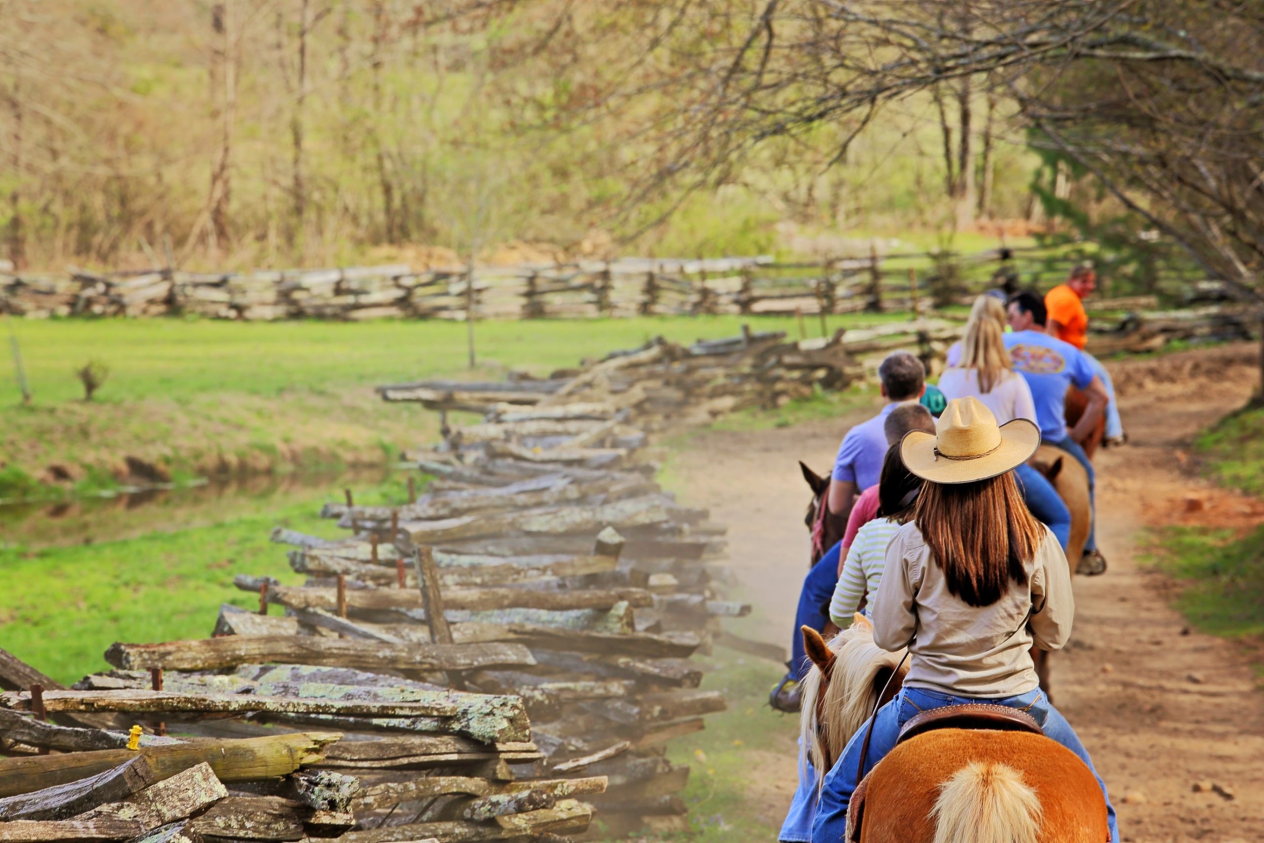 Group of people on a trail ride