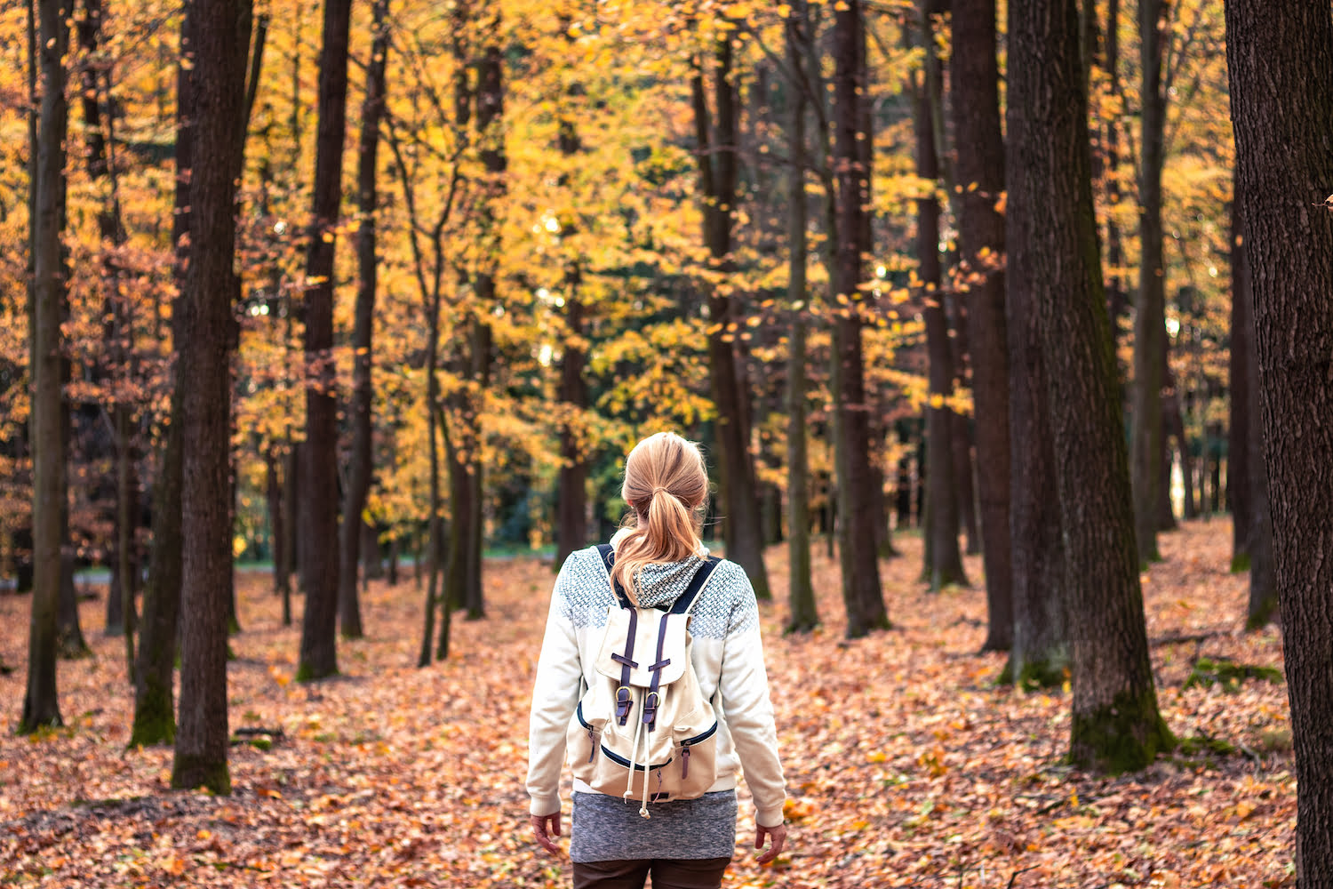 Woman with backpack walking in forest at autumn.