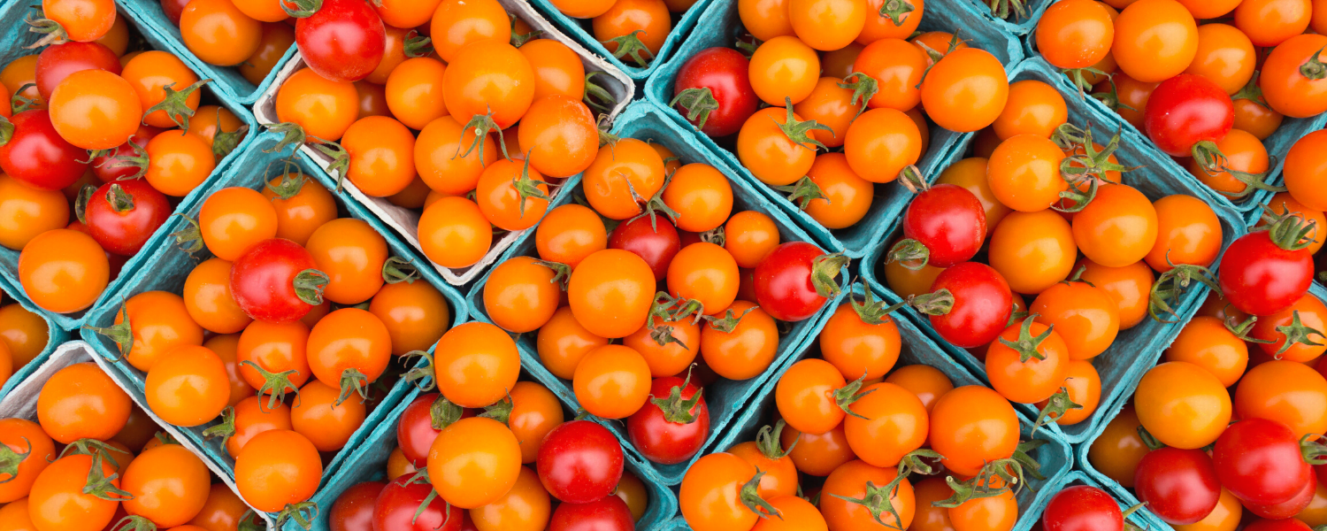 tomatoes at the farmer's market