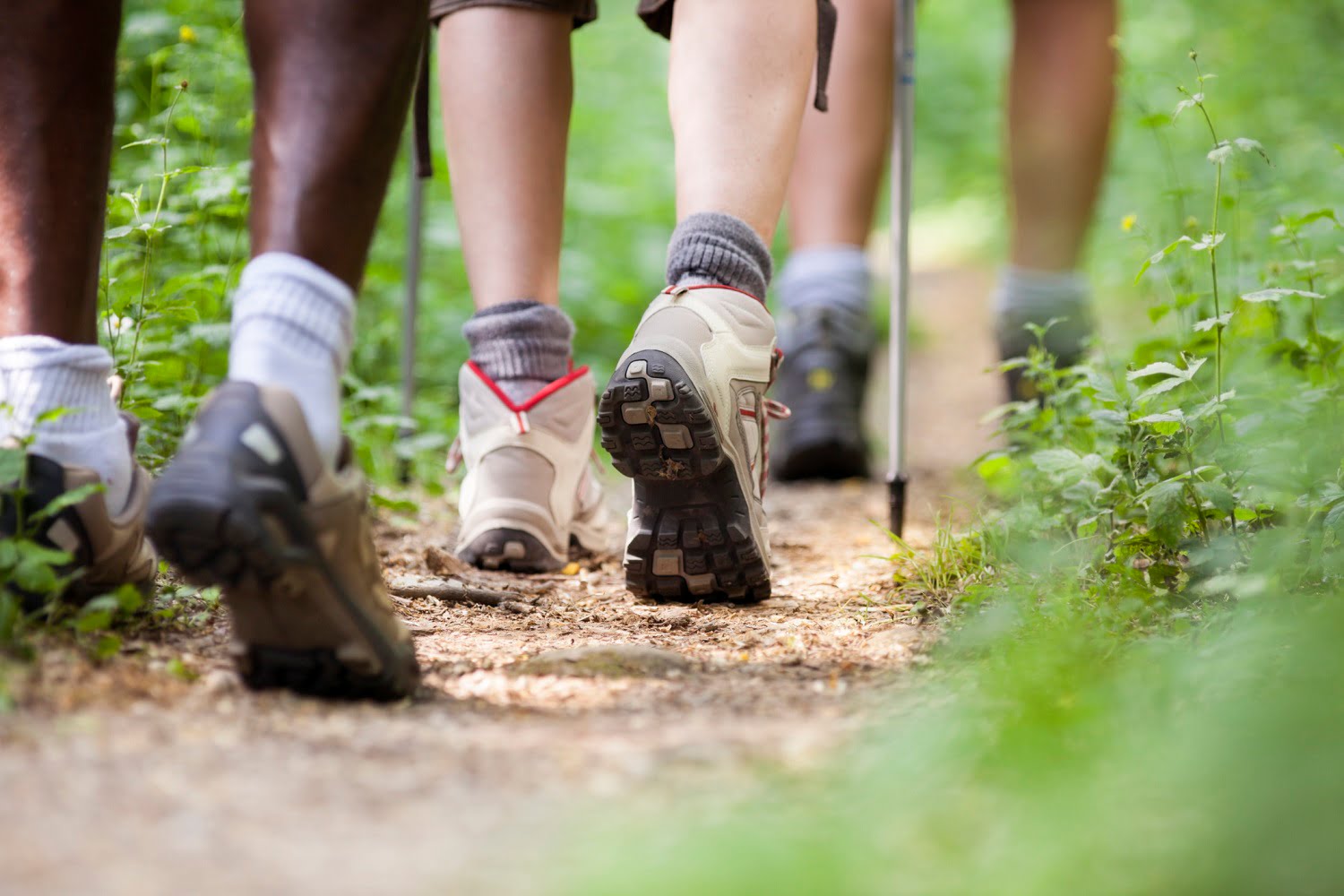 shoes of people trekking and hiking in row