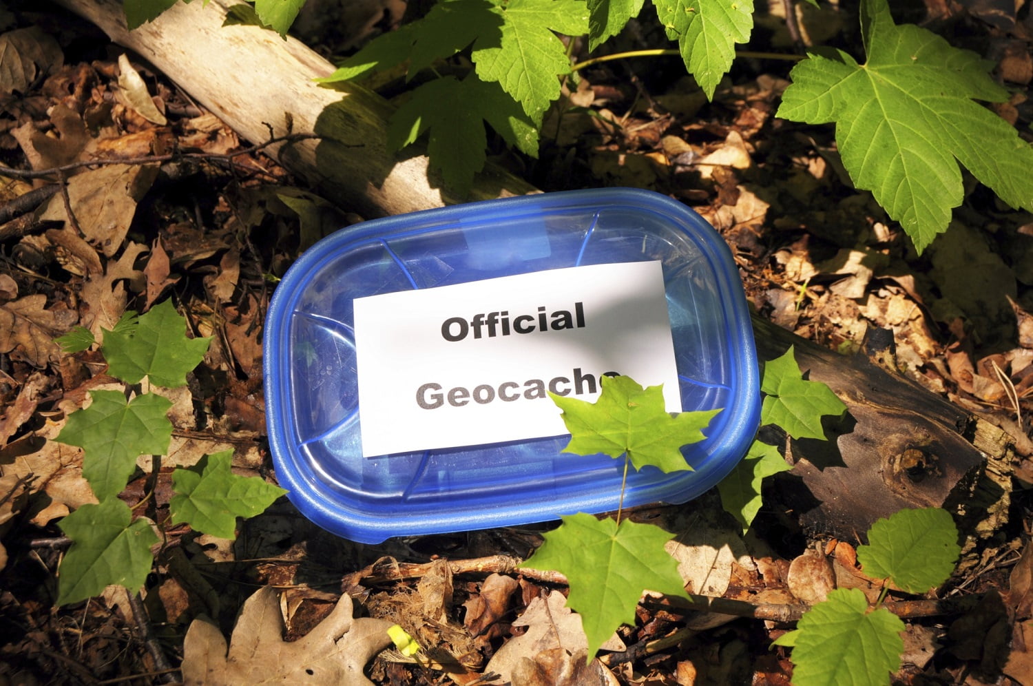 official geocache