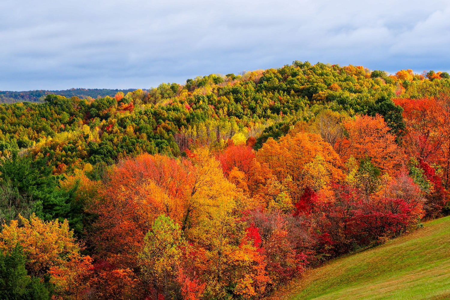 view of ohio in the fall