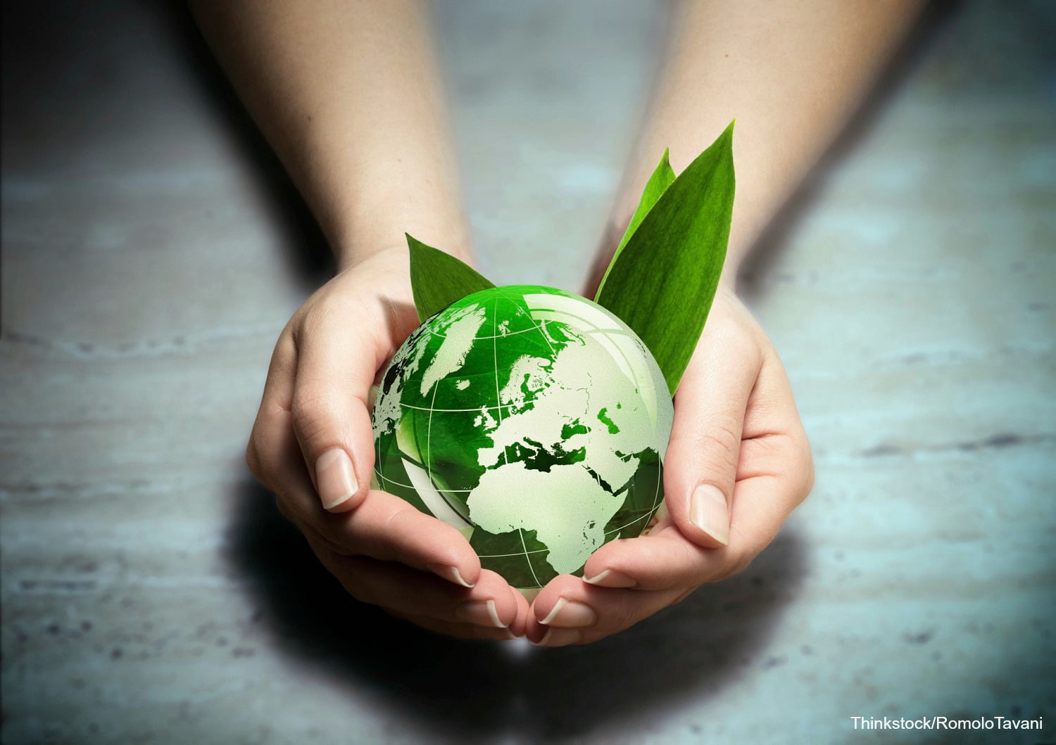 hands holding small Earth with leaves