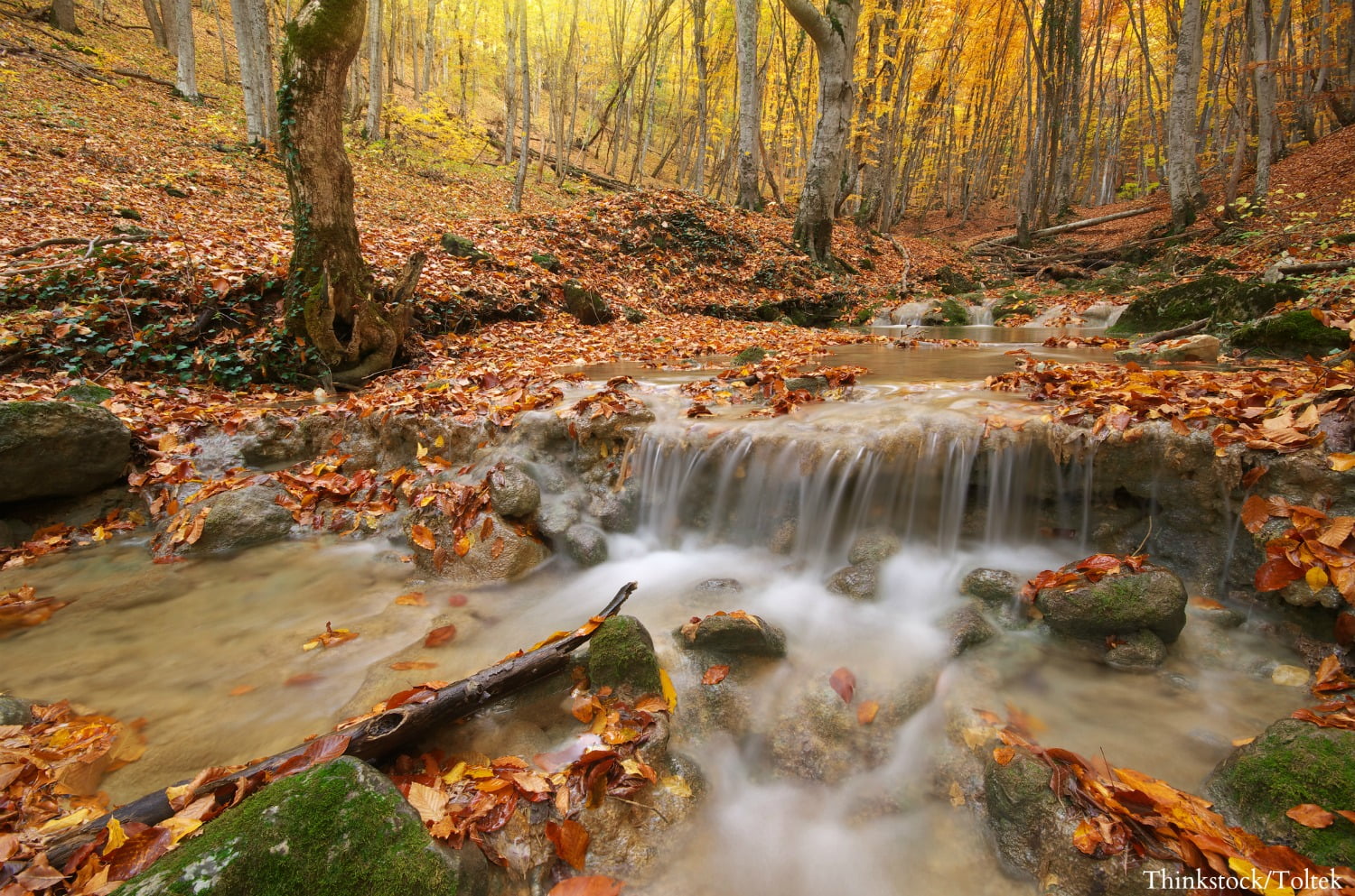 Hocking Hills Fall Foliage