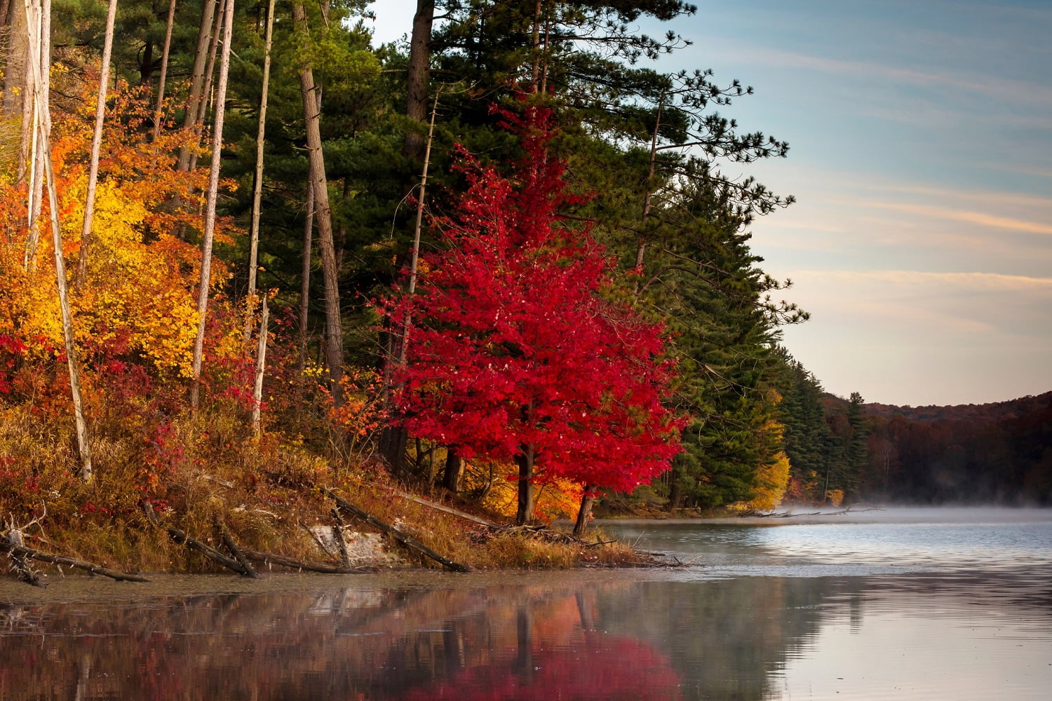 view of trees during October at Lake Hope, OH