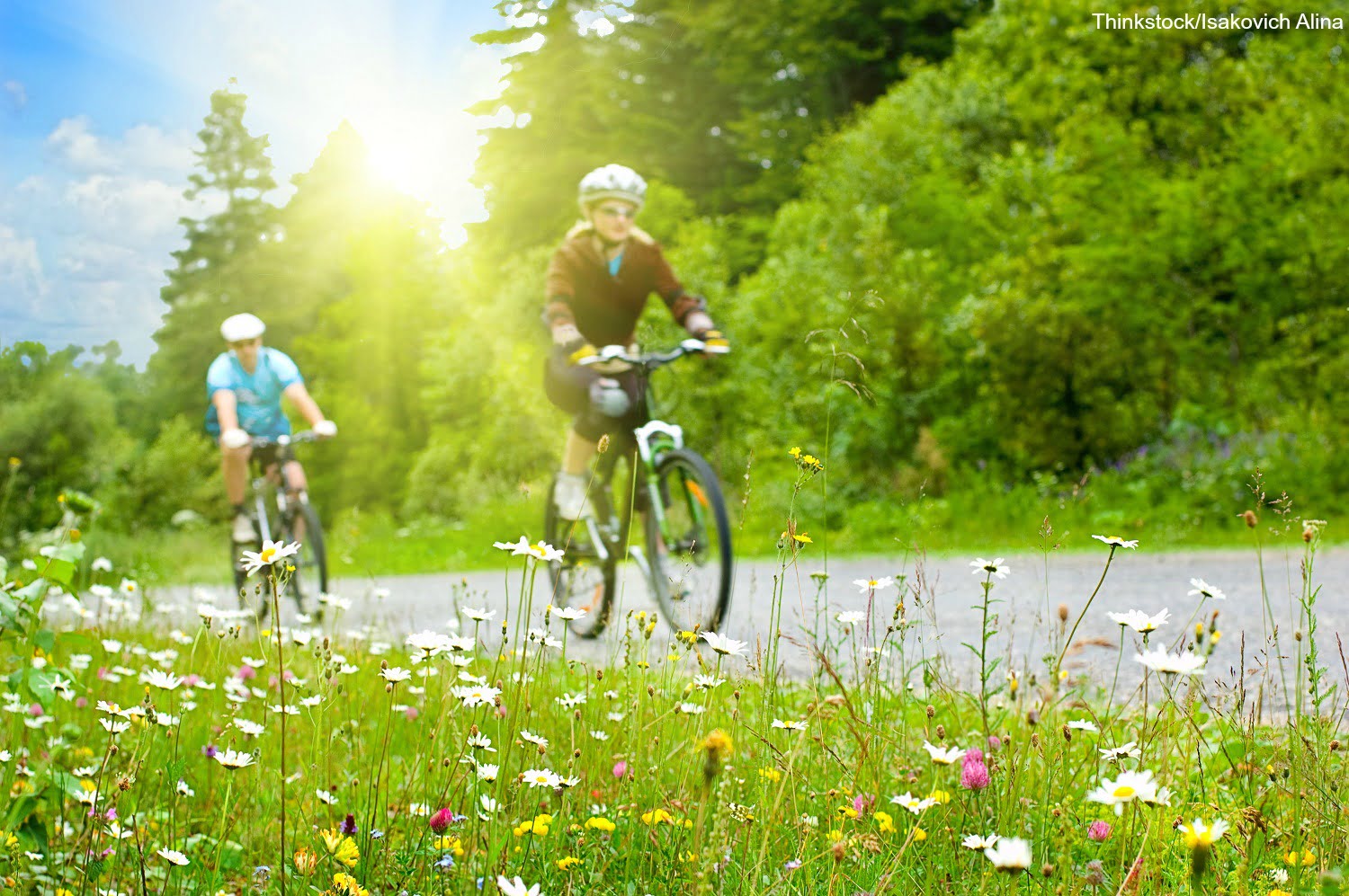 people riding bikes near road