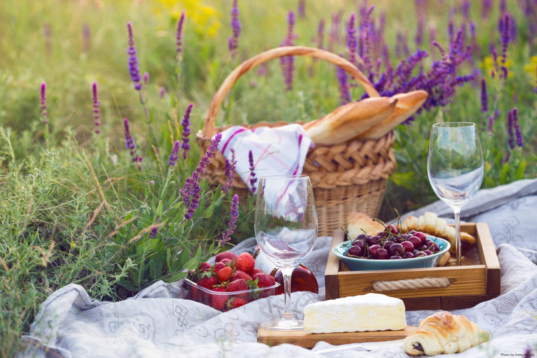 picnic during ohio summer vacation