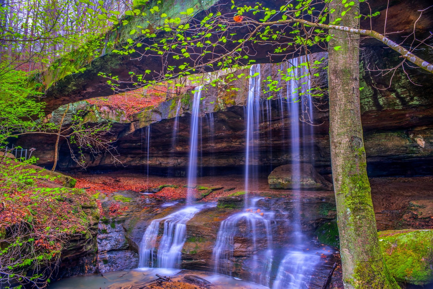 Rockbridge State Nature Preserve