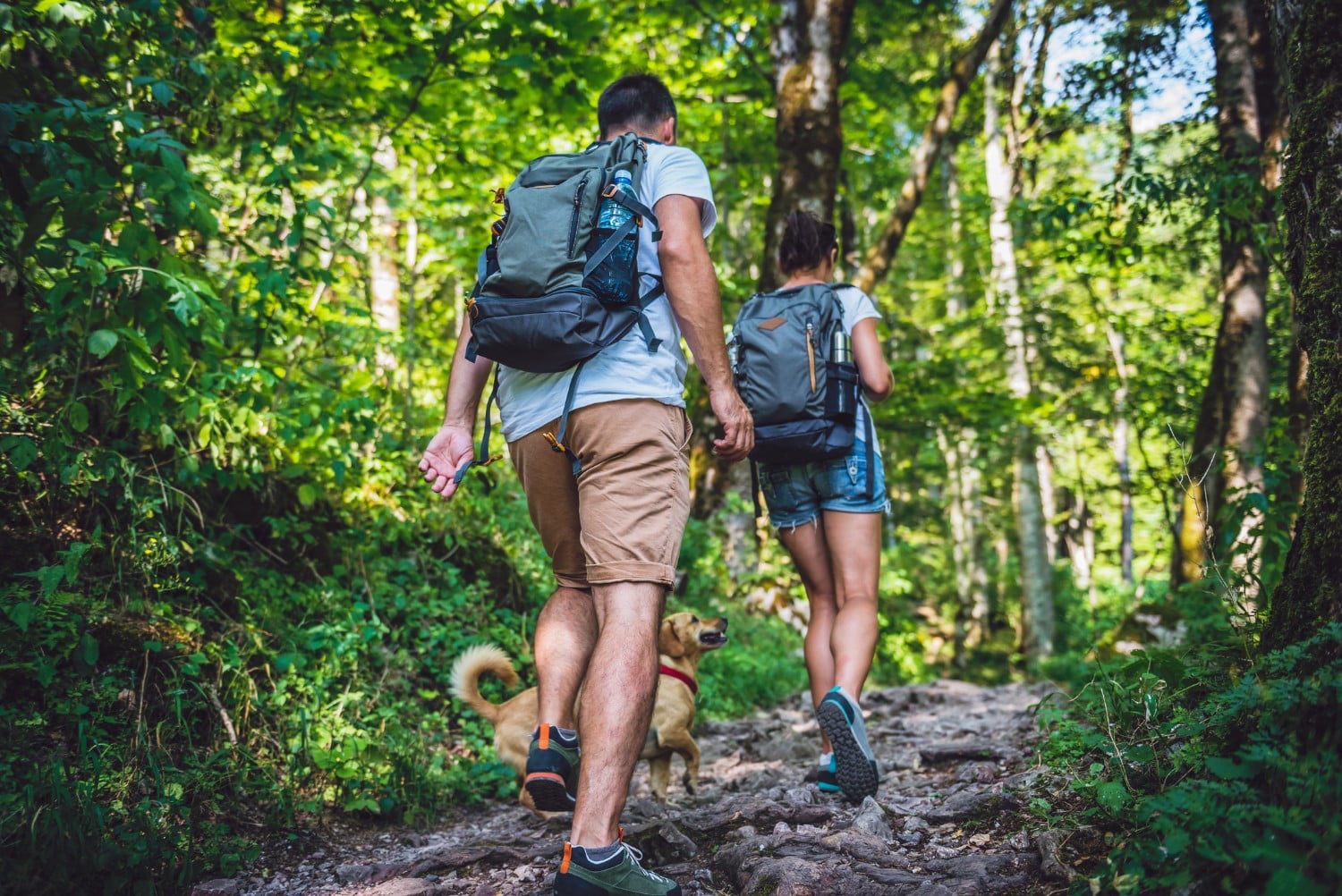 Couple with a dog hiking through the forest