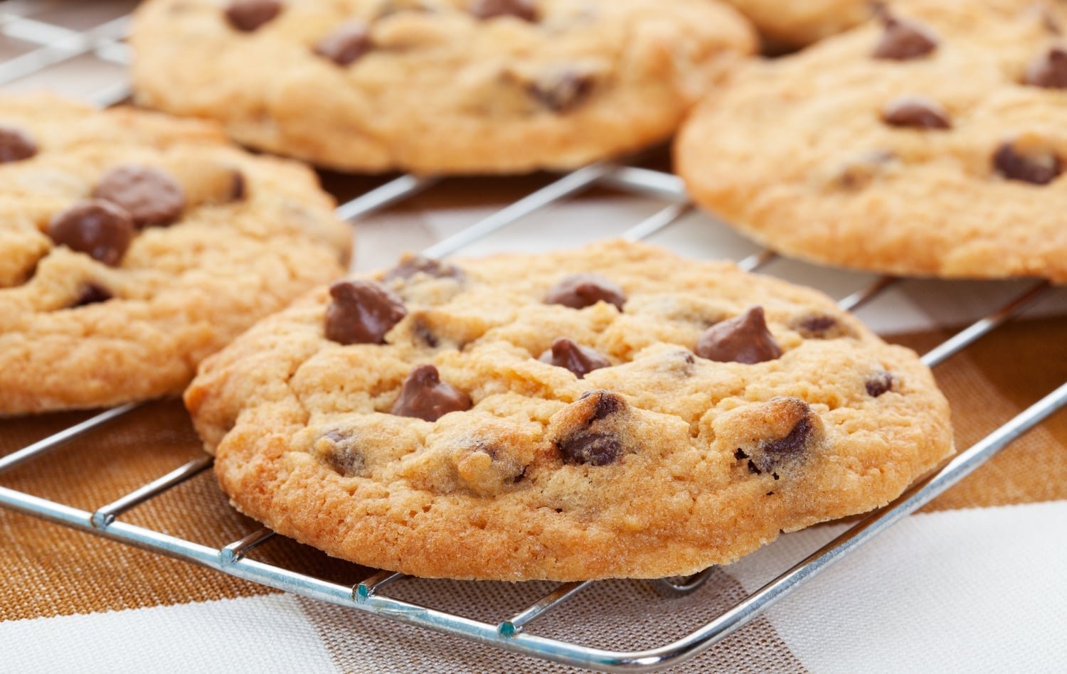 Chocolate chip cookies on tray