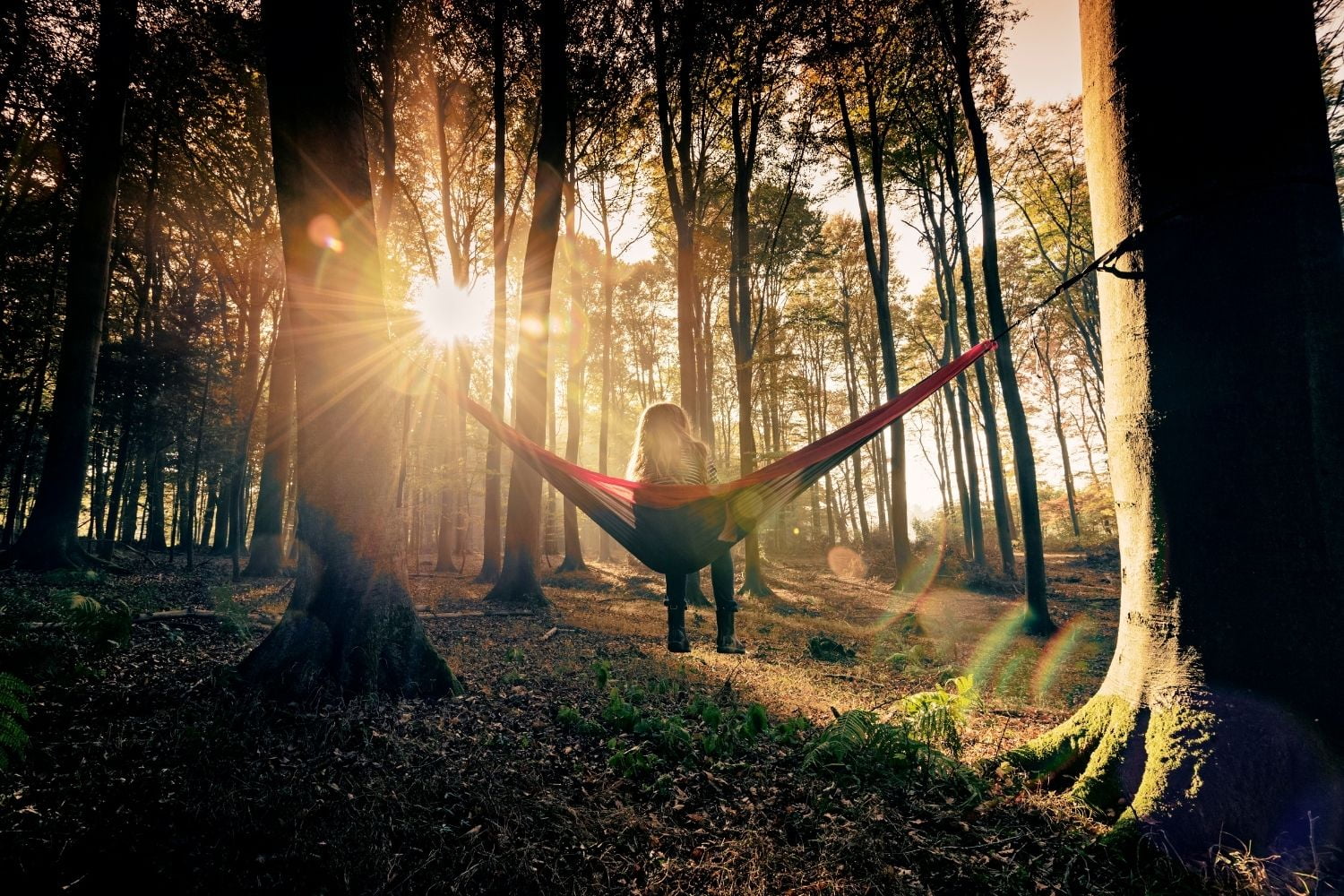 Woman sitting in hammock in the woods.